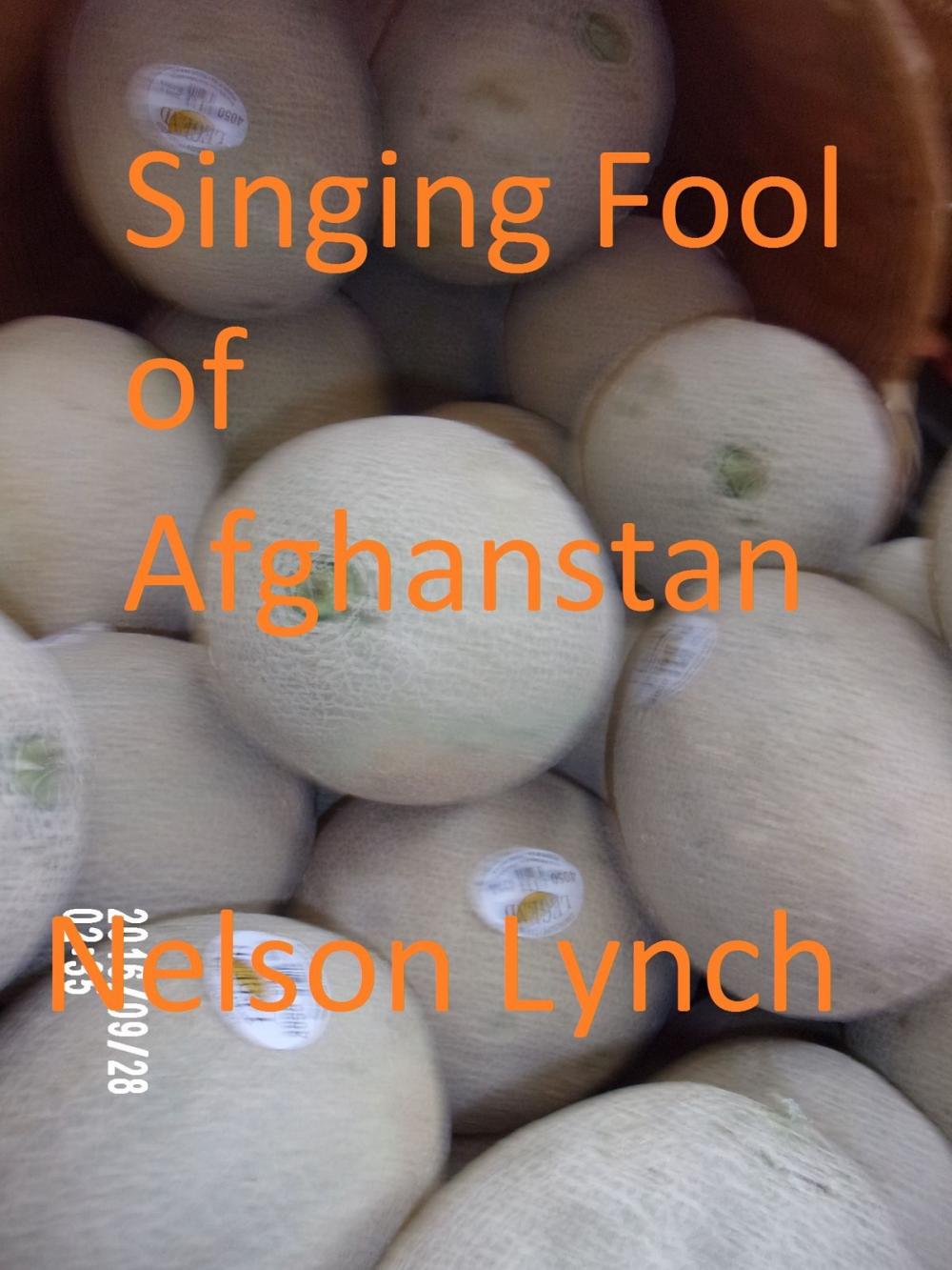 Big bigCover of Singing Fool of Afghanistan