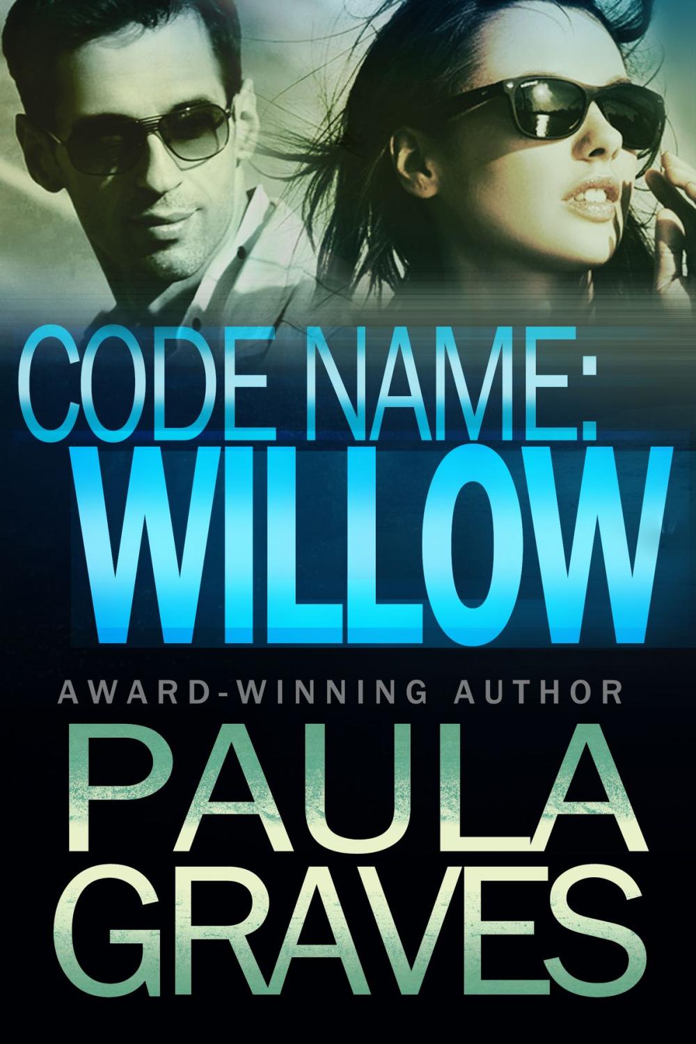 Big bigCover of Code Name: Willow