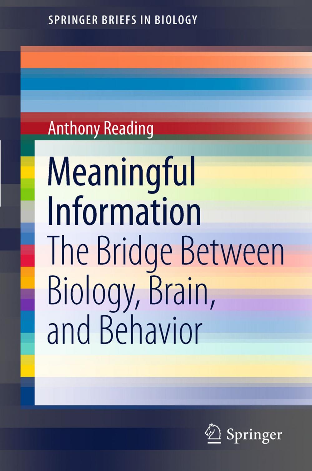 Big bigCover of Meaningful Information