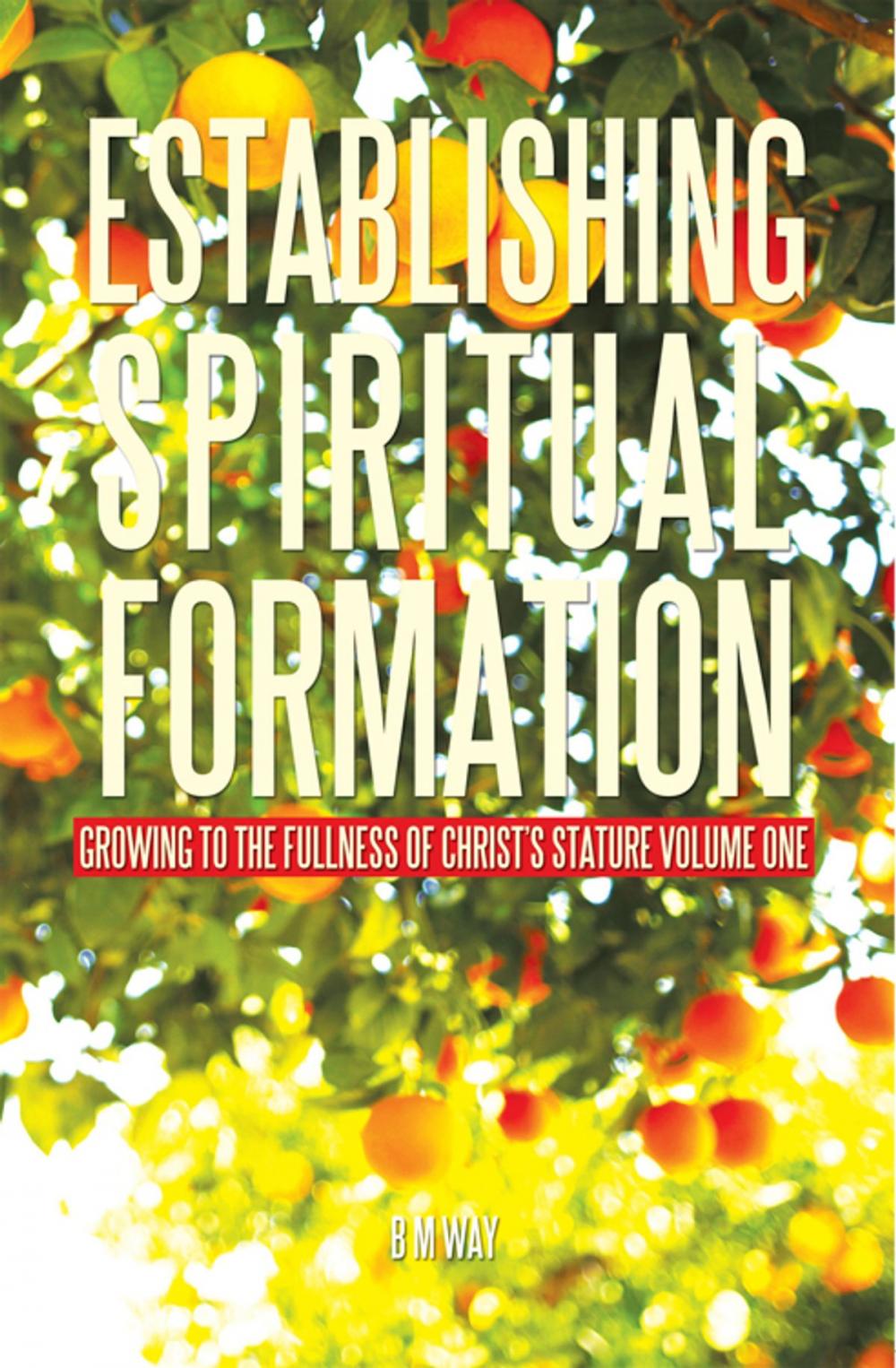 Big bigCover of Establishing Spiritual Formation