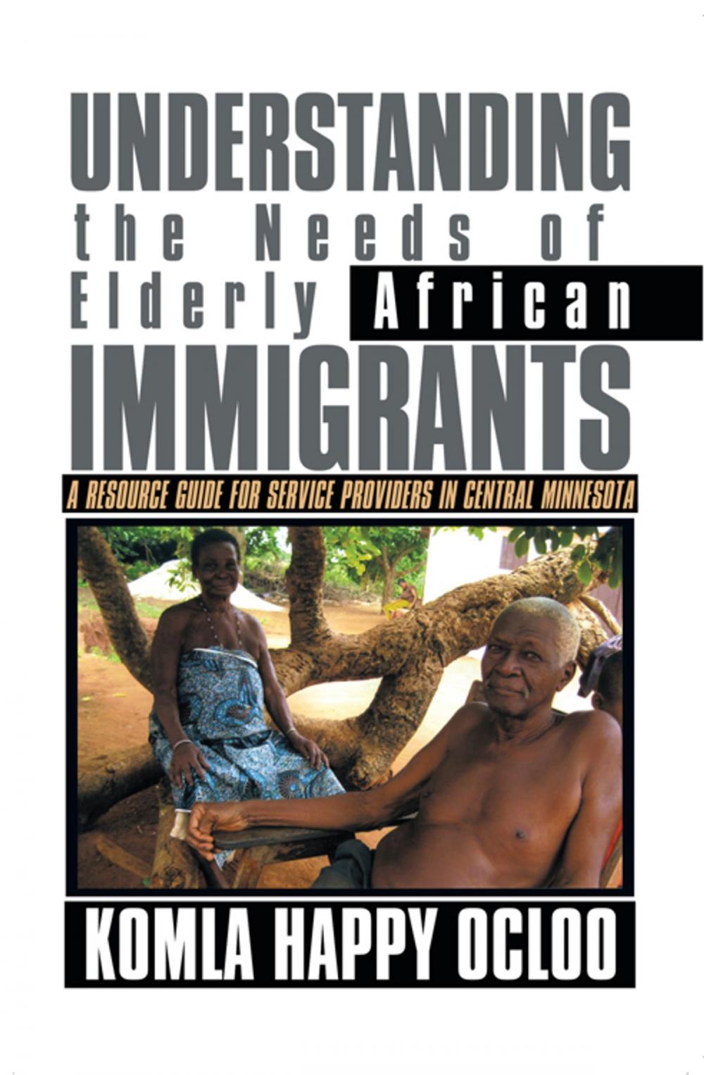 Big bigCover of Understanding the Needs of Elderly African Immigrants