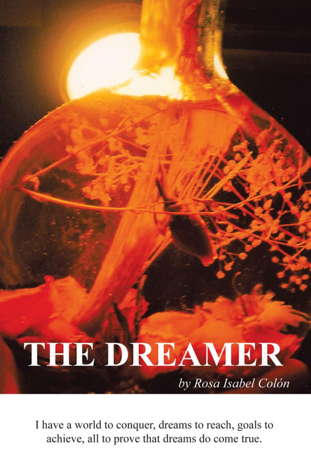 Big bigCover of The Dreamer