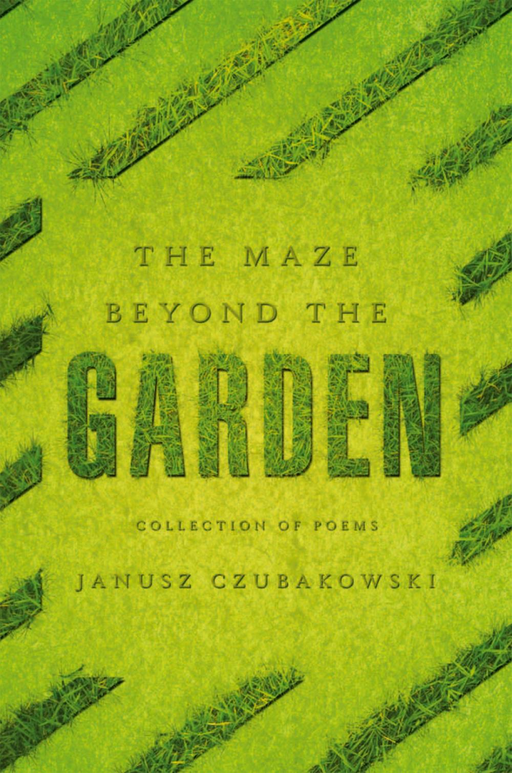 Big bigCover of The Maze Beyond the Garden