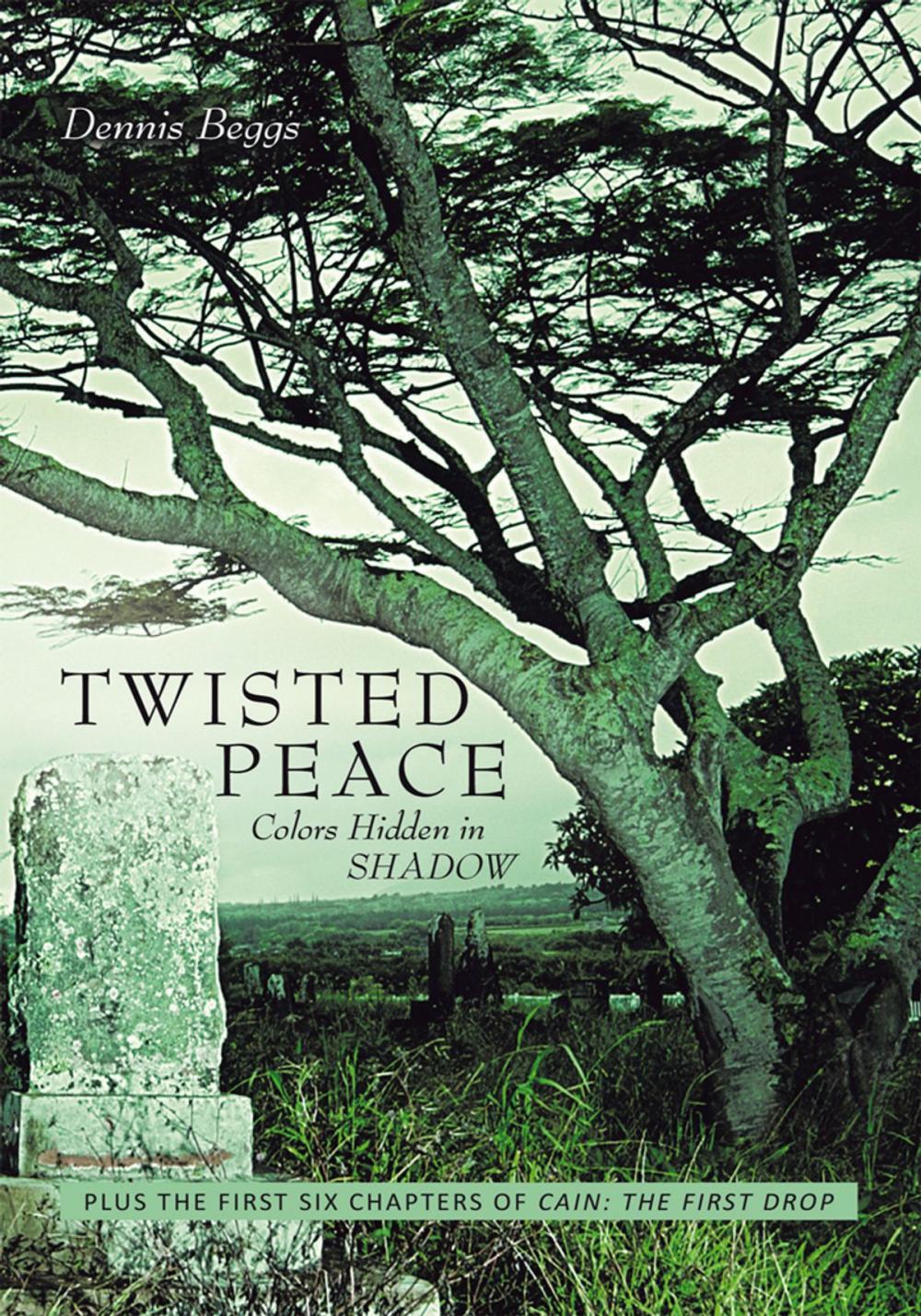 Big bigCover of Twisted Peace Colors Hidden in Shadow