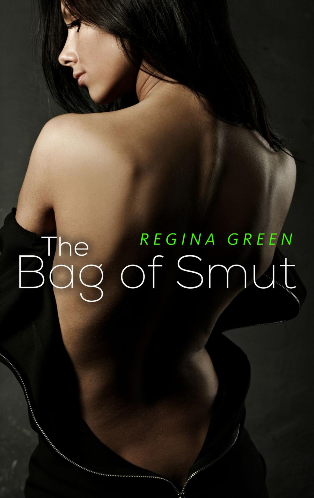 Big bigCover of The Bag of Smut