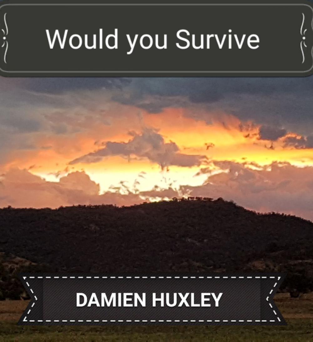 Big bigCover of Would You Survive!