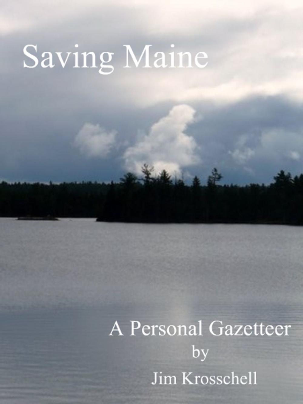 Big bigCover of Saving Maine: A Personal Gazetteer