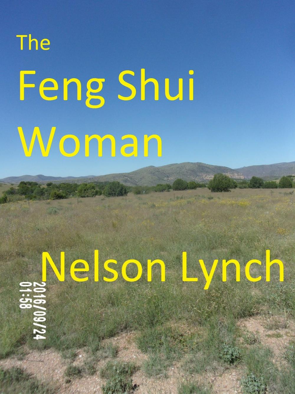 Big bigCover of The Feng Shui Woman