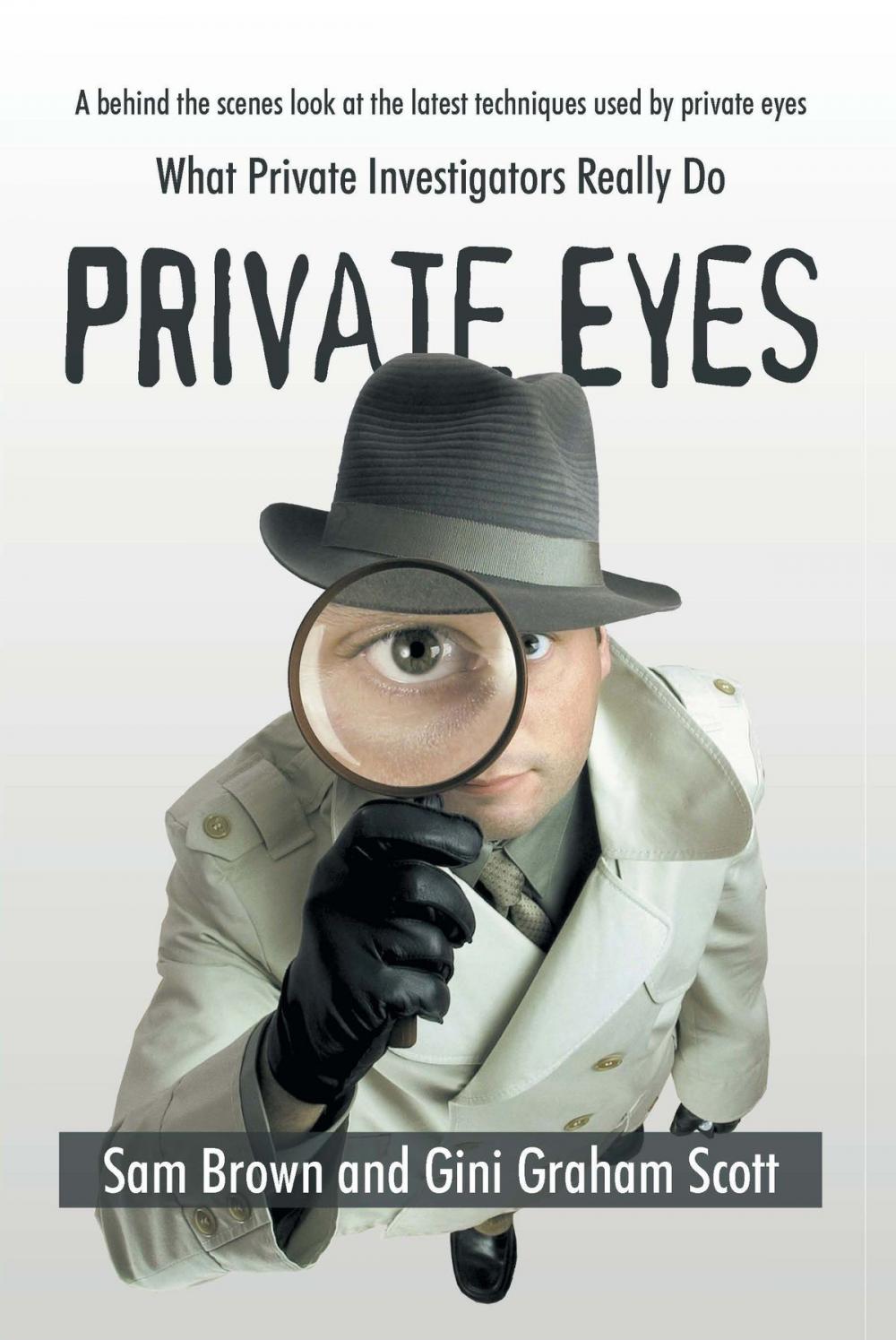 Big bigCover of Private Eyes