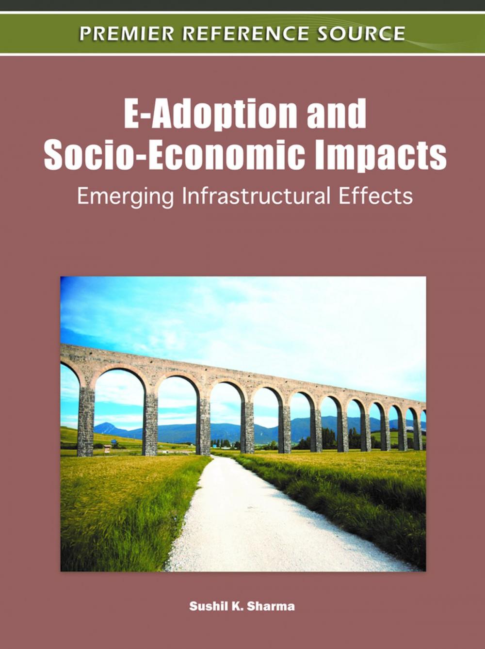 Big bigCover of E-Adoption and Socio-Economic Impacts