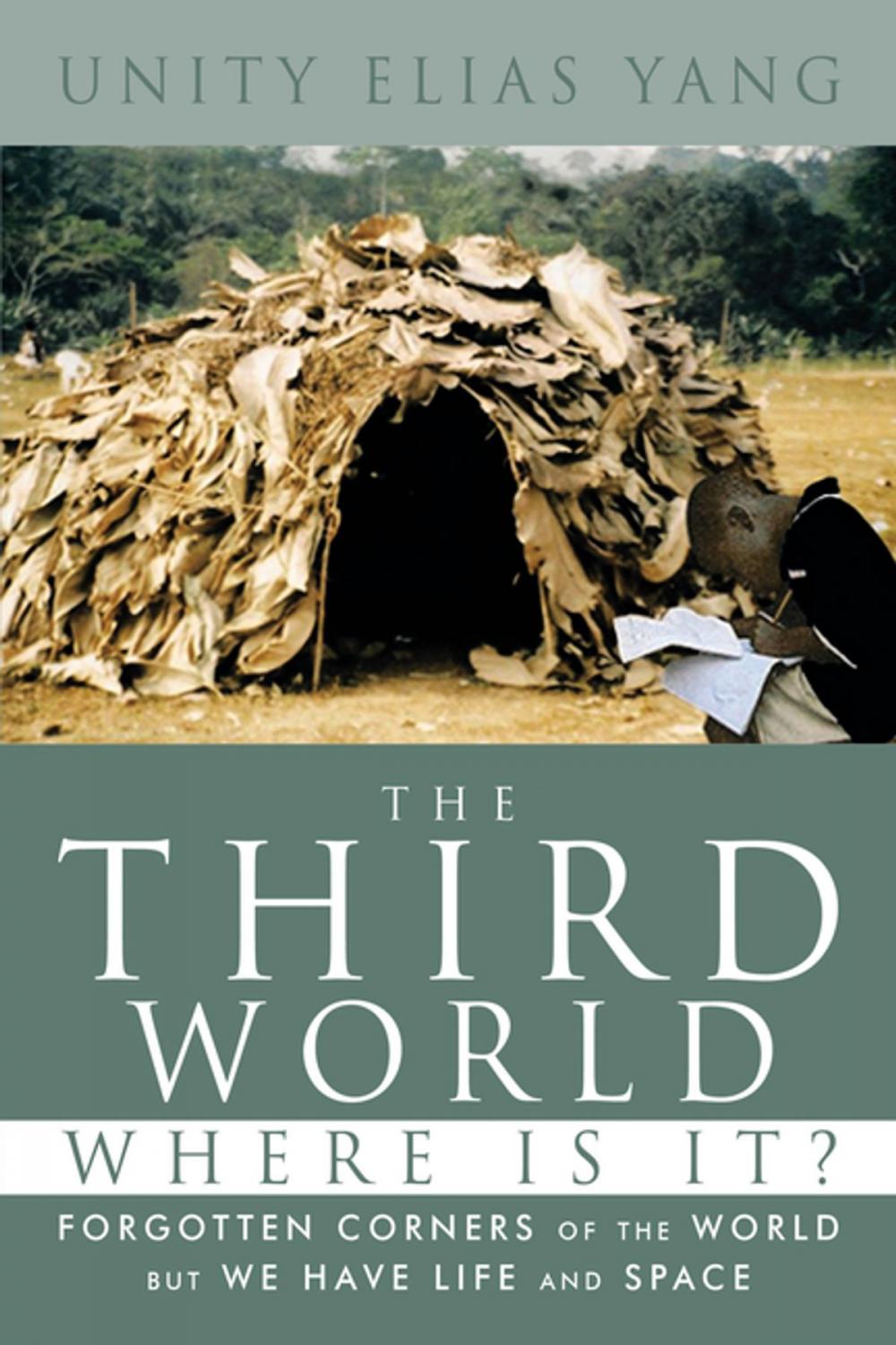 Big bigCover of The Third World Where Is It?