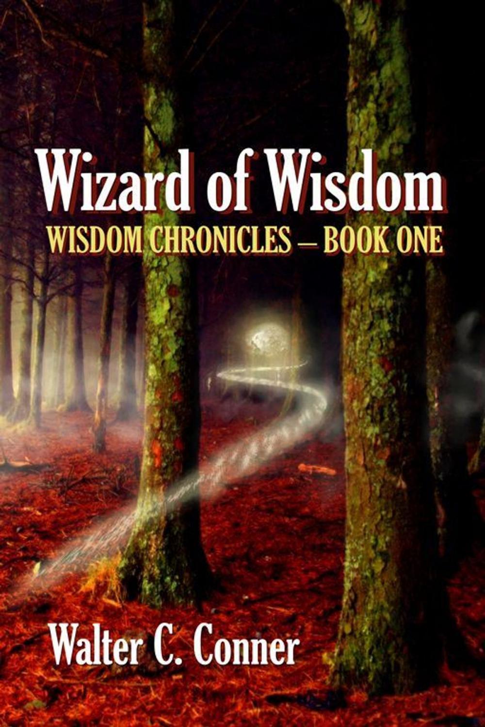 Big bigCover of Wizard Of Wisdom