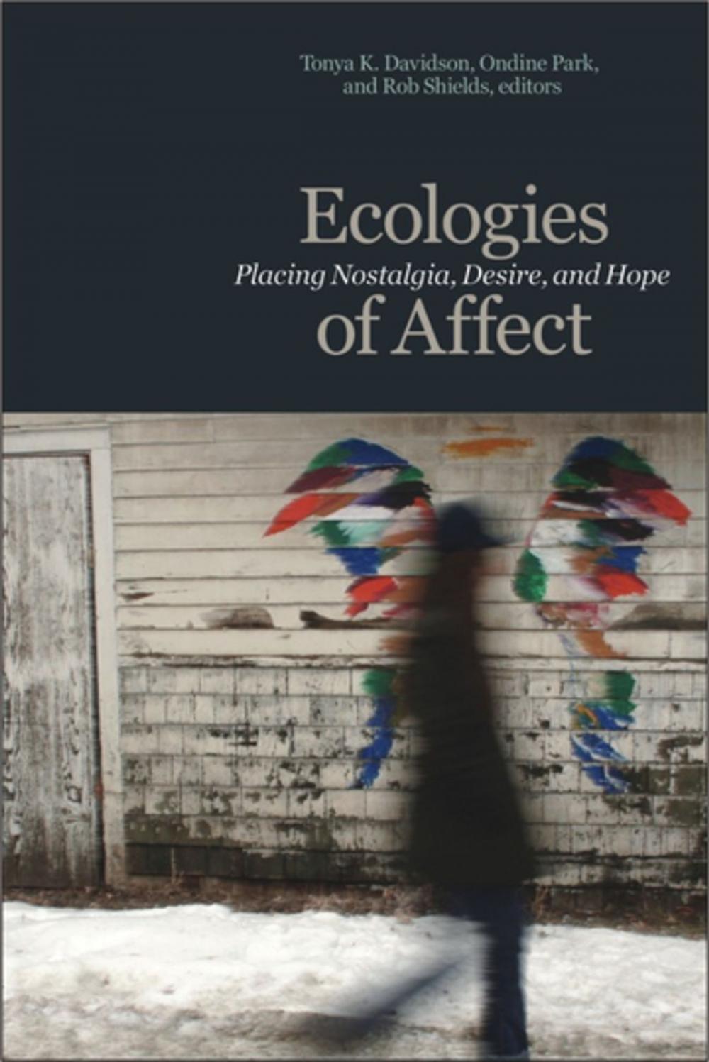 Big bigCover of Ecologies of Affect