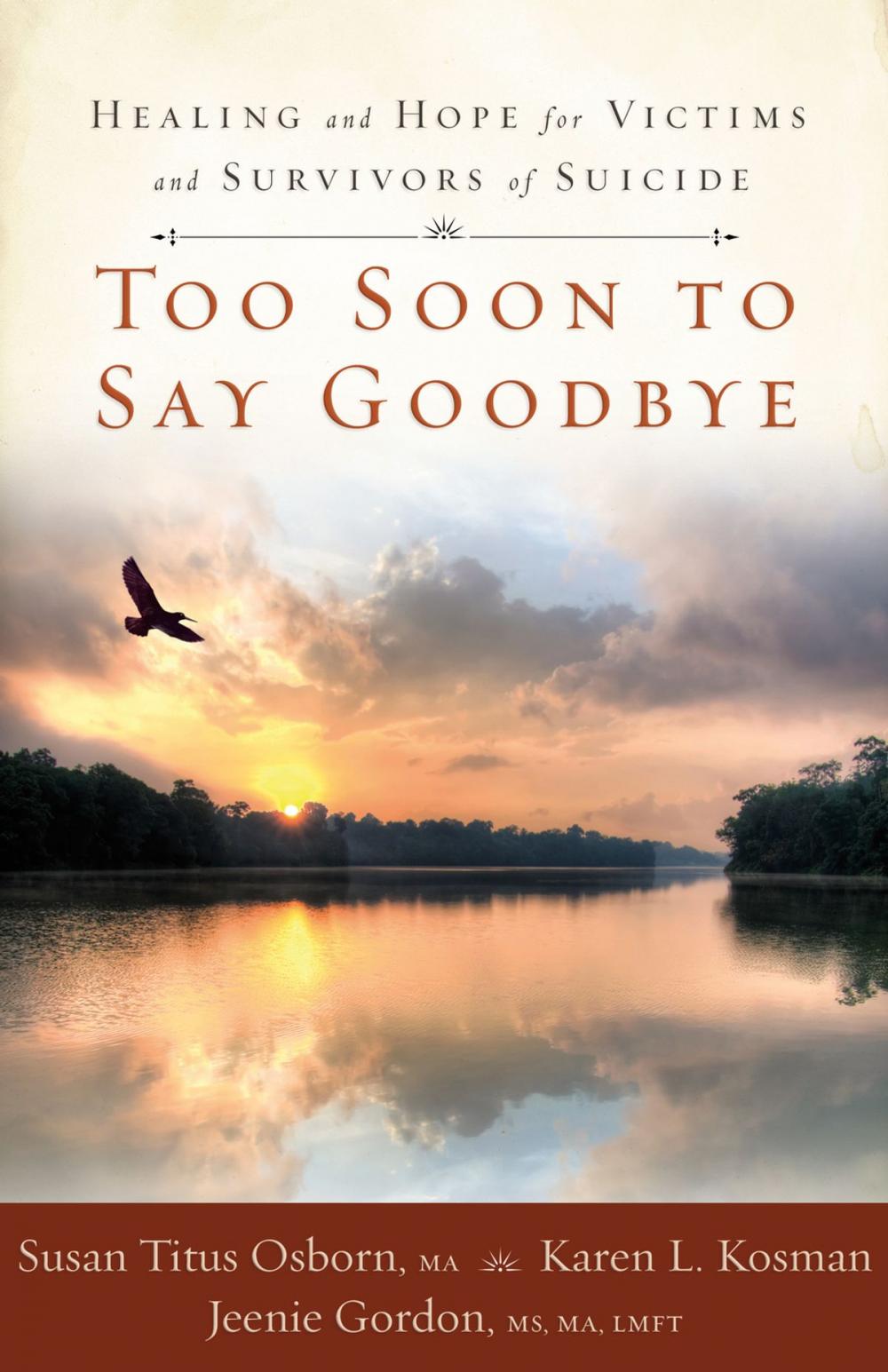 Big bigCover of Too Soon to Say Goodbye: Healing and Hope for Victims and Survivors of Suicide