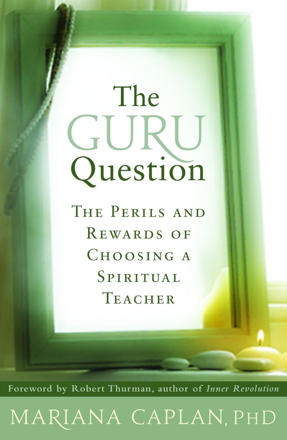 Big bigCover of The Guru Question