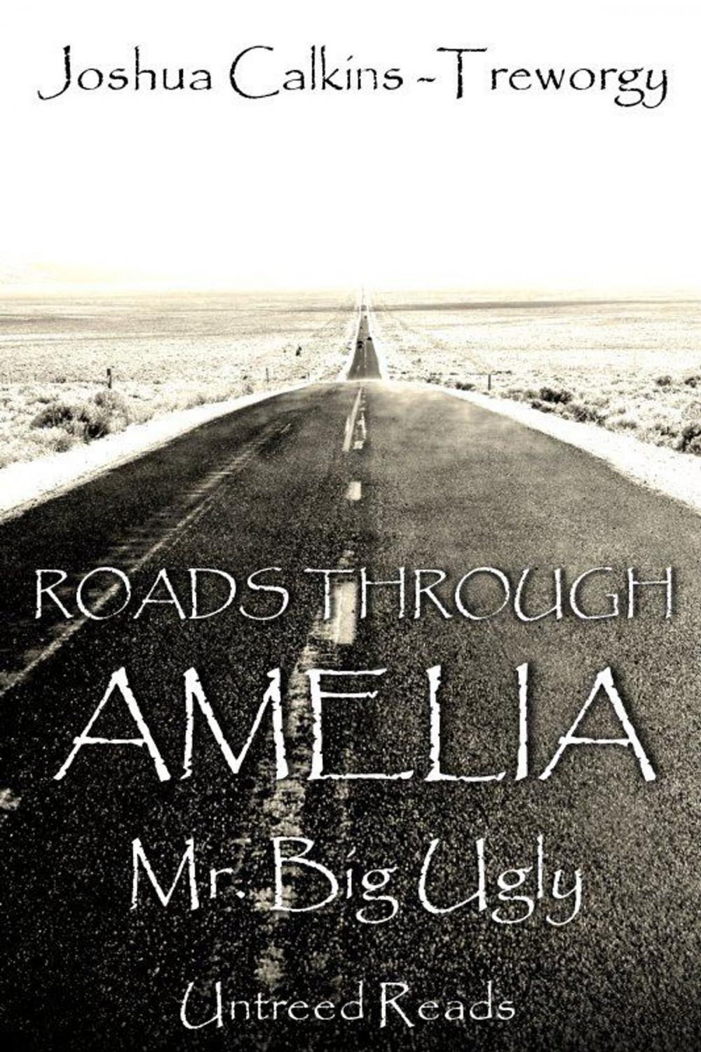 Big bigCover of Mr. Big Ugly: Roads Through Amelia #4