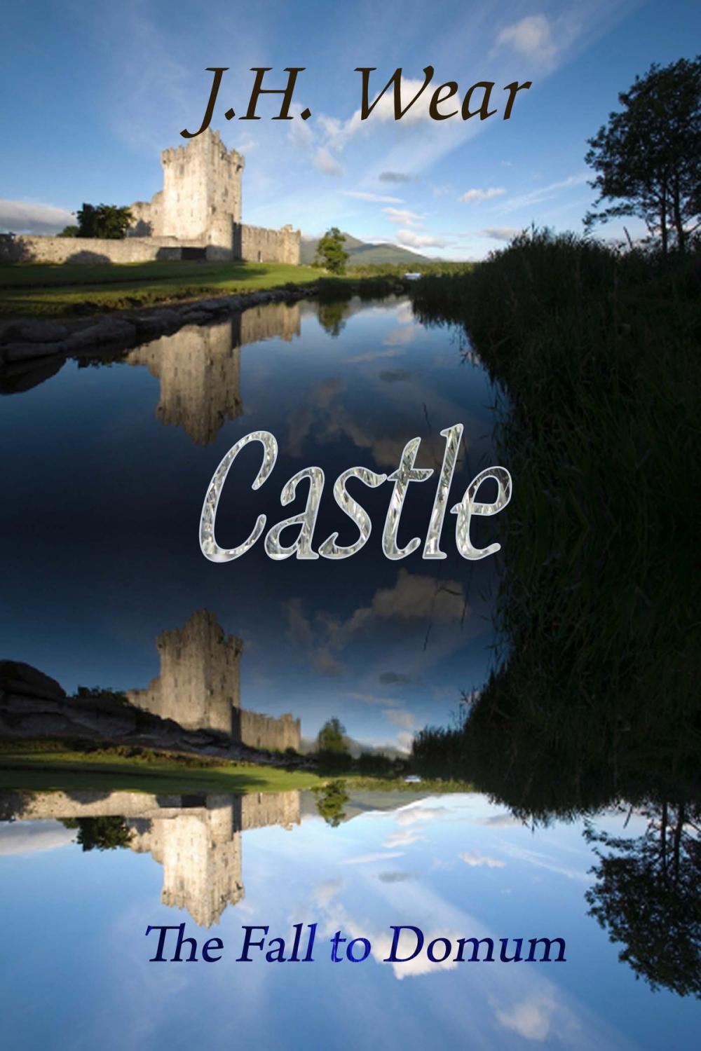 Big bigCover of Castle: The Fall To Domum