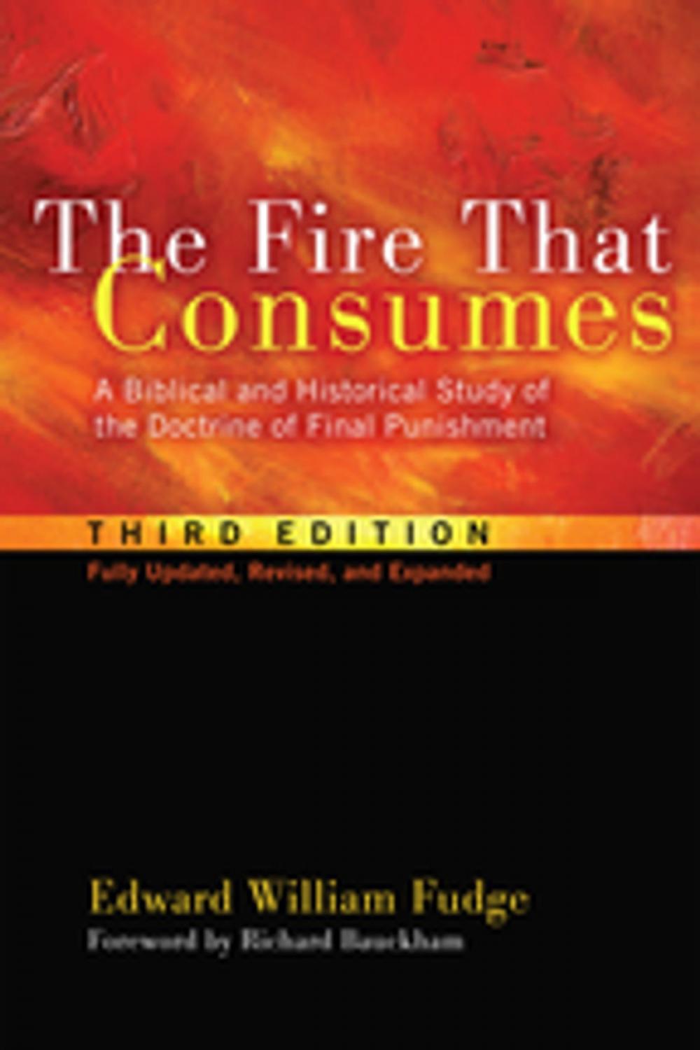 Big bigCover of The Fire That Consumes