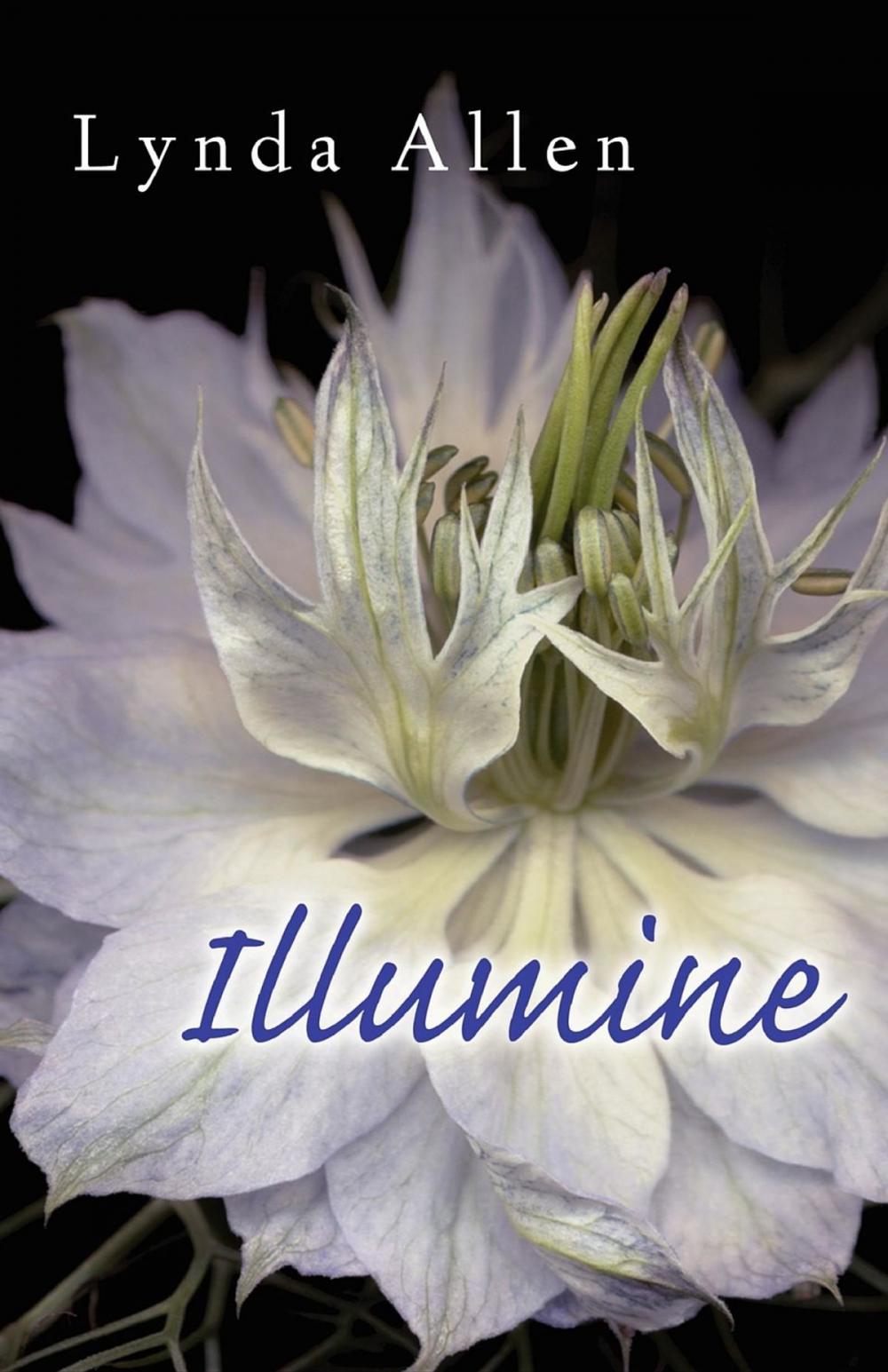 Big bigCover of Illumine