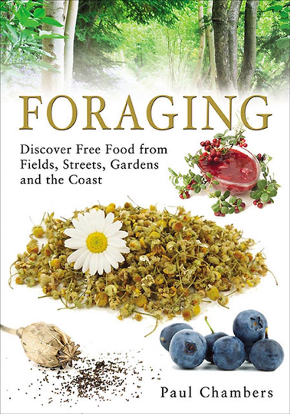 Big bigCover of Foraging