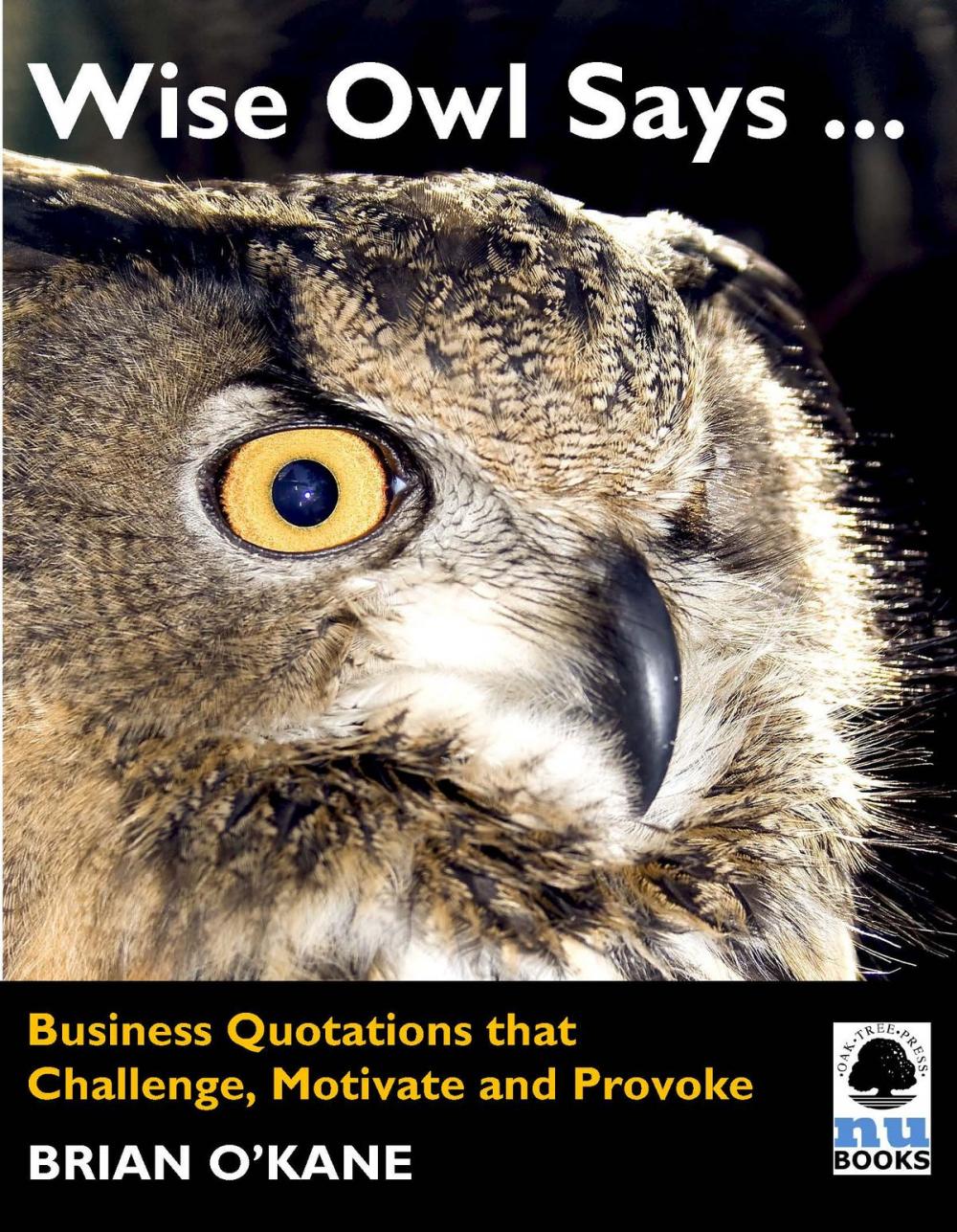 Big bigCover of Wise Owl Says ...: Business Quotations that Challenge, Motivate and Provoke
