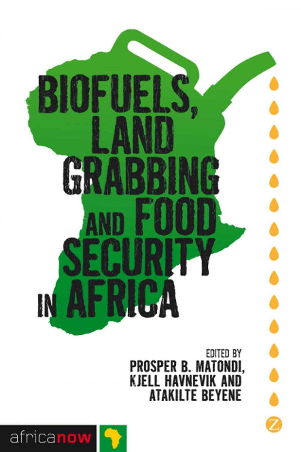 Big bigCover of Biofuels, Land Grabbing and Food Security in Africa