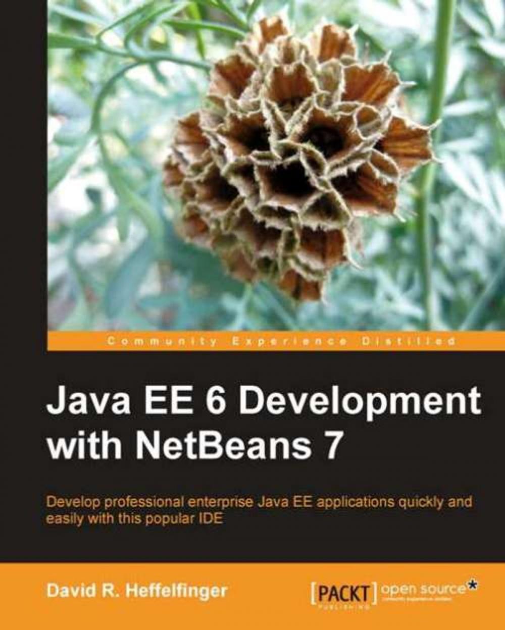 Big bigCover of Java EE 6 Development with NetBeans 7