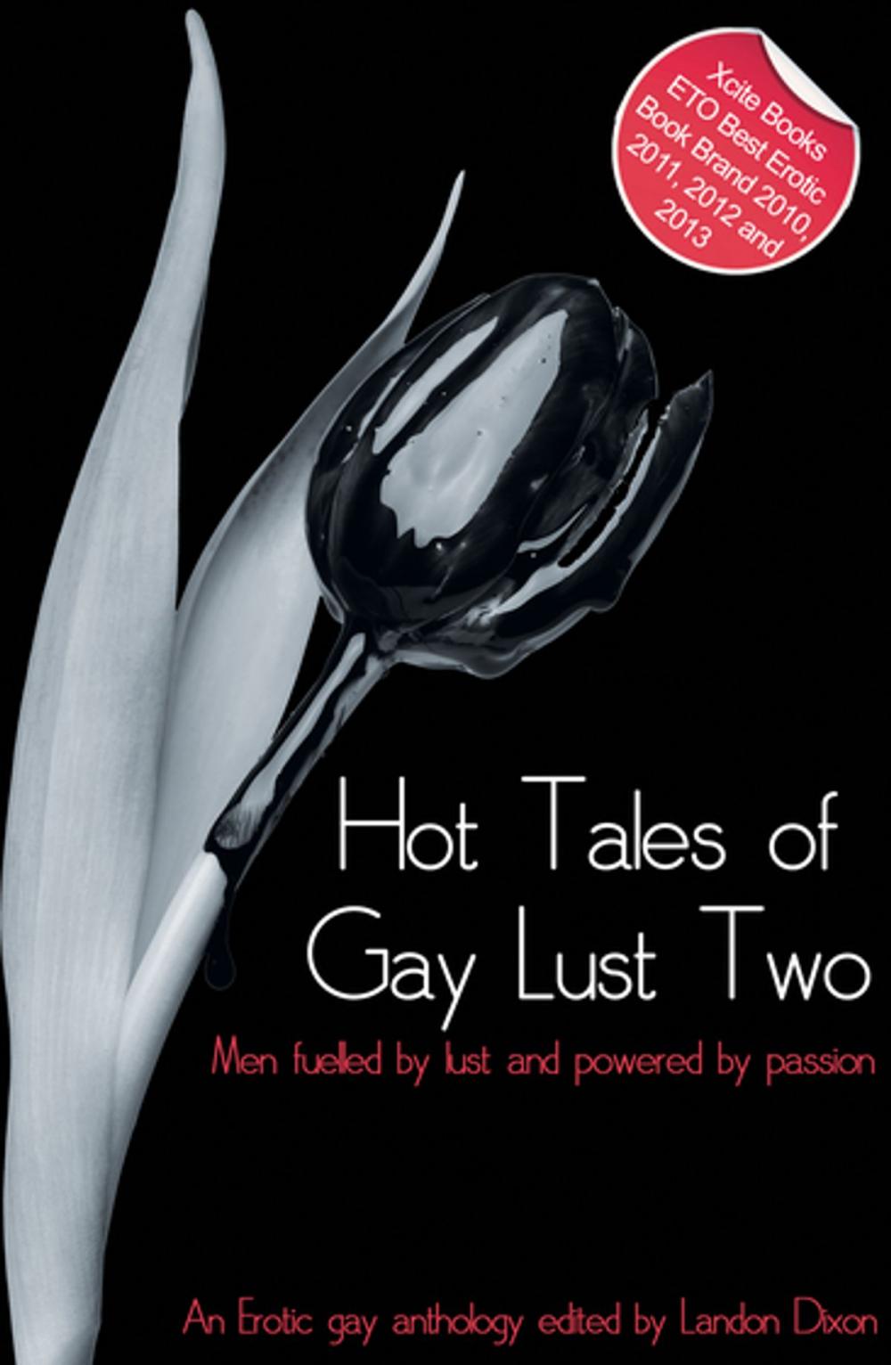 Big bigCover of Hot Tales of Gay Lust Two