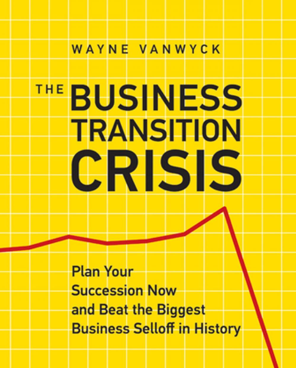 Big bigCover of The Business Transition Crisis