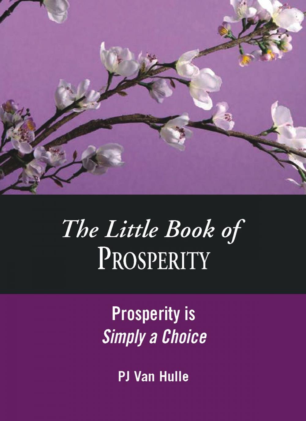 Big bigCover of The Little Book of Prosperity