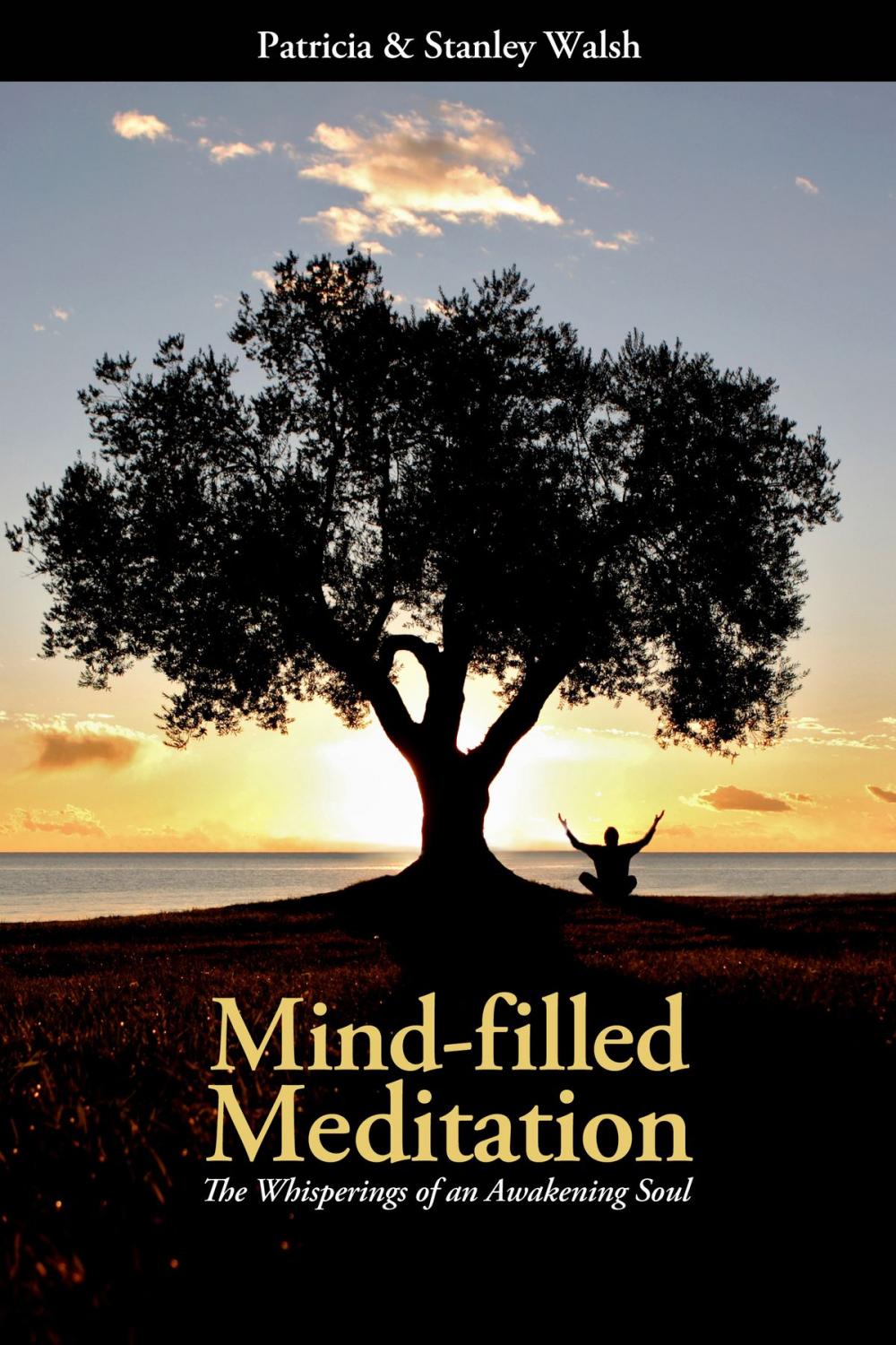 Big bigCover of Mind-filled Meditation: The Whisperings of an Awakening Soul