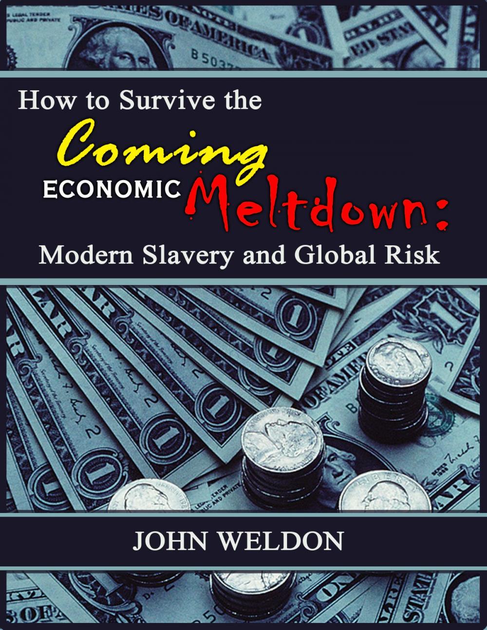 Big bigCover of How to Survive the Coming Economic Meltdown