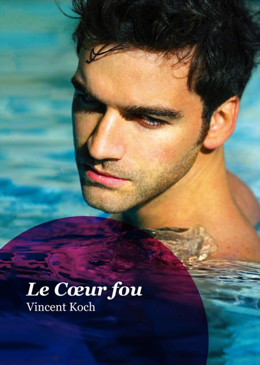 Big bigCover of Le Coeur fou (roman gay)