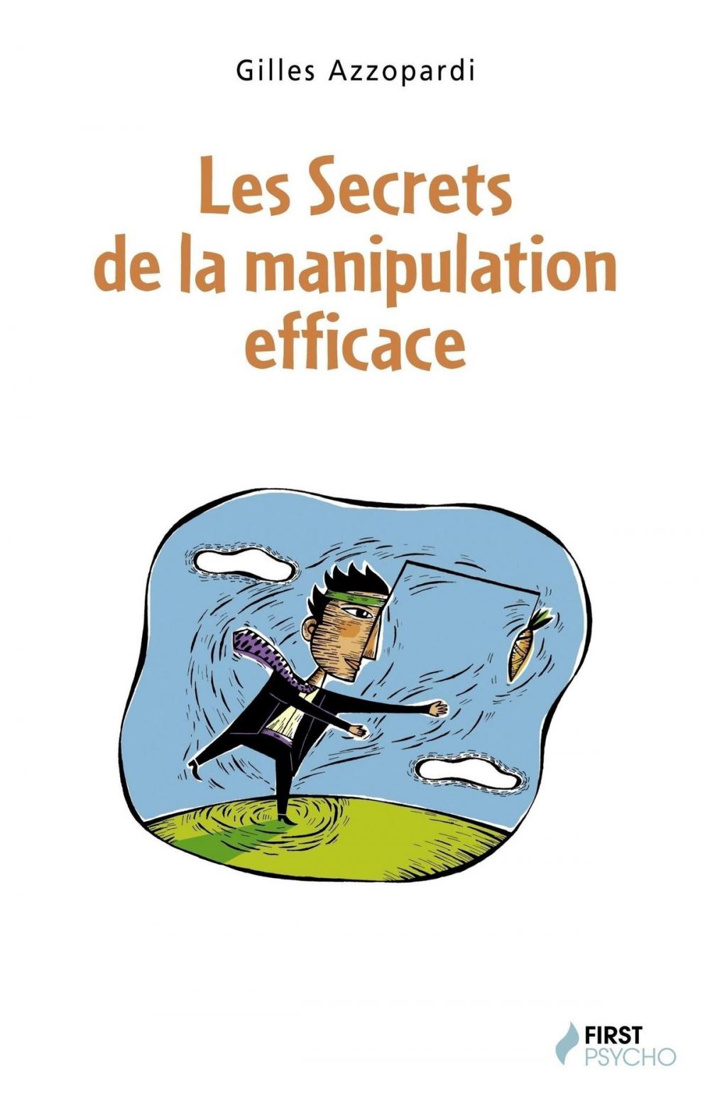 Big bigCover of Les Secrets de la manipulation efficace