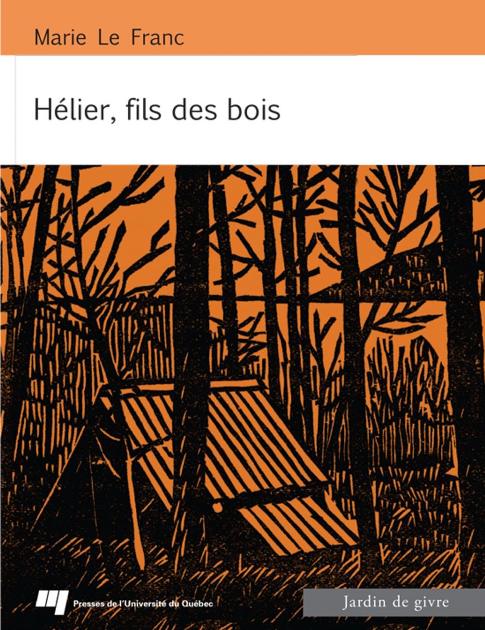 Big bigCover of Hélier, fils des bois