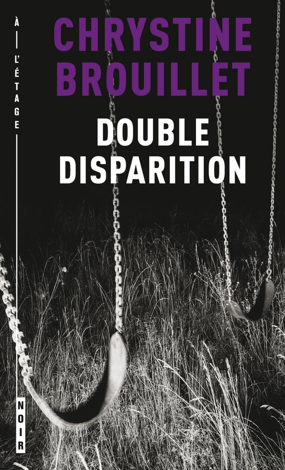 Big bigCover of Double disparition