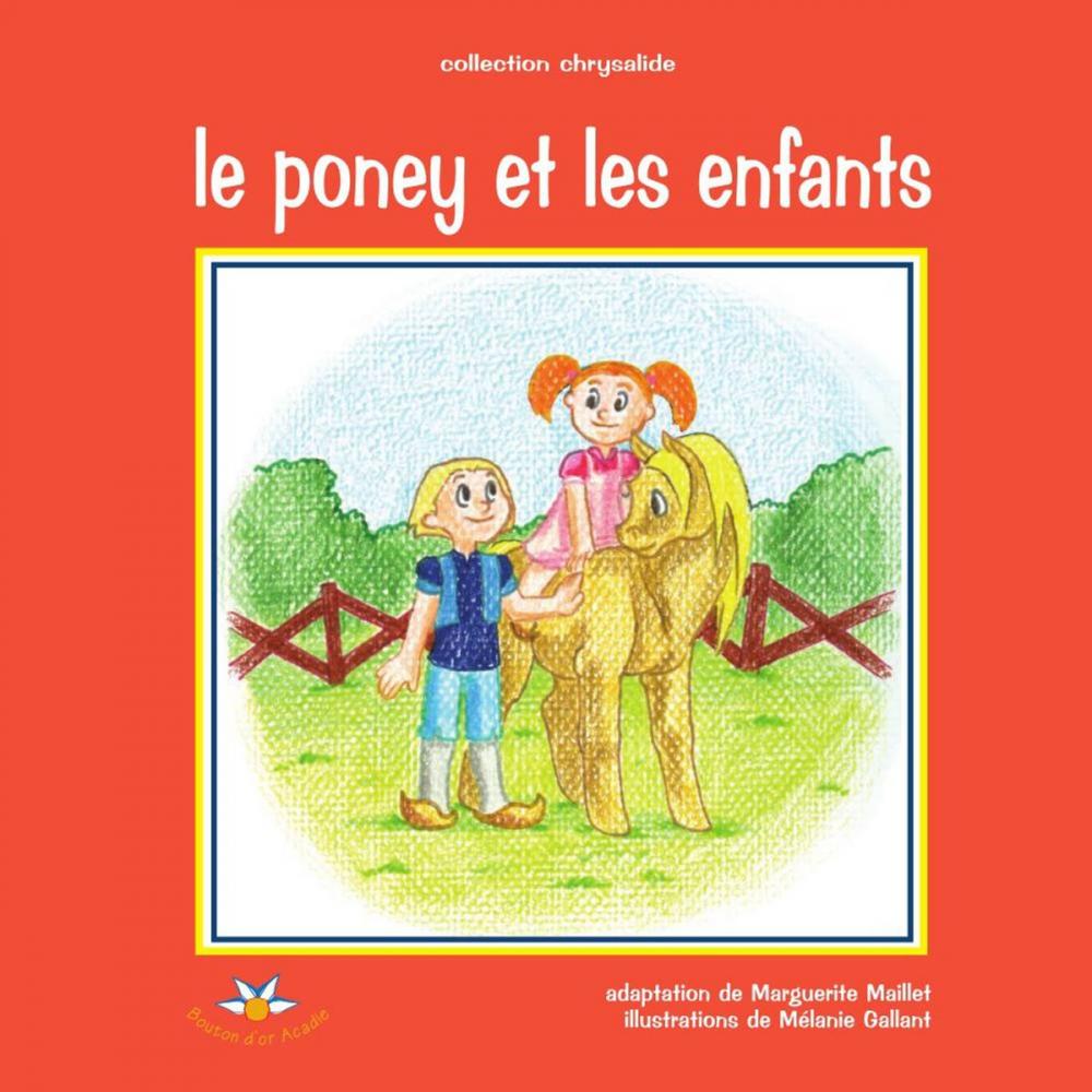 Big bigCover of Le poney et les enfants