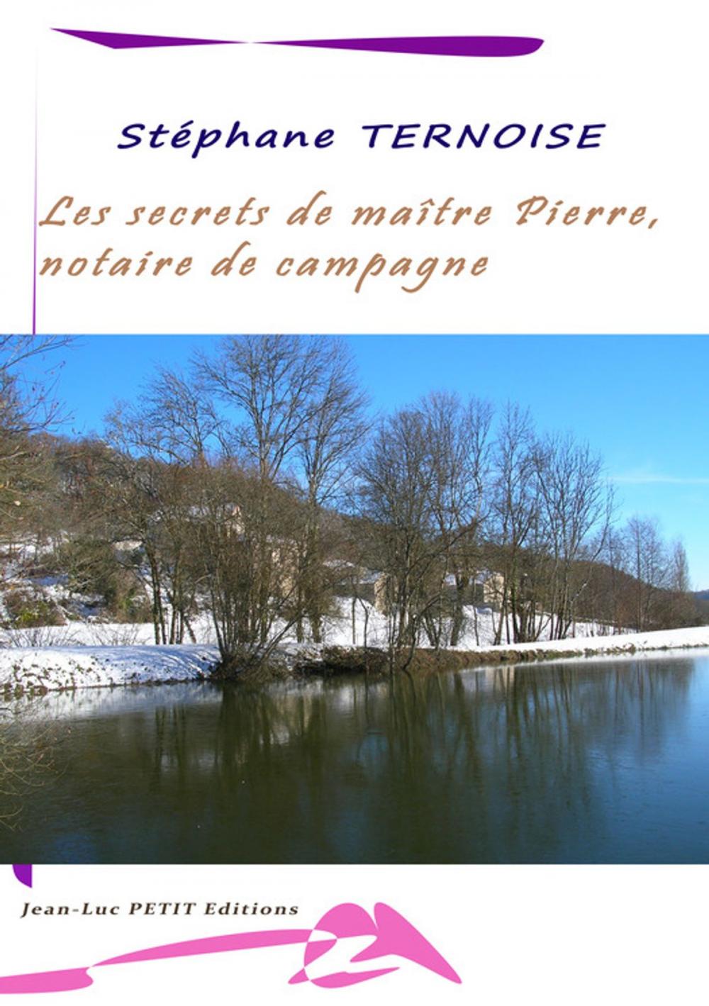 Big bigCover of Les secrets de maître Pierre, notaire de campagne