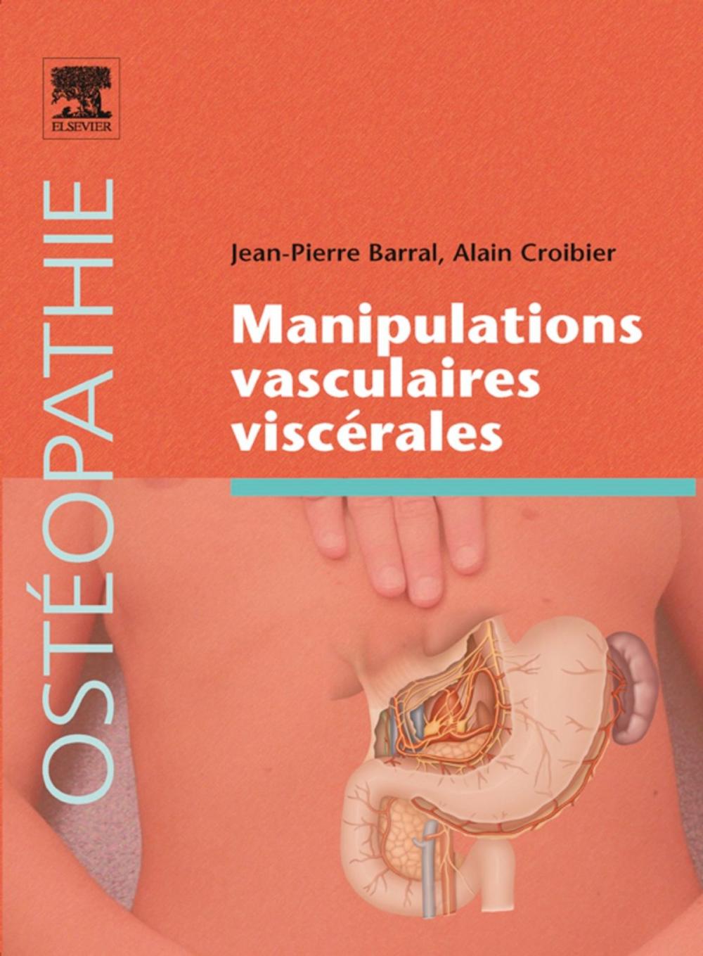 Big bigCover of Manipulations vasculaires viscérales