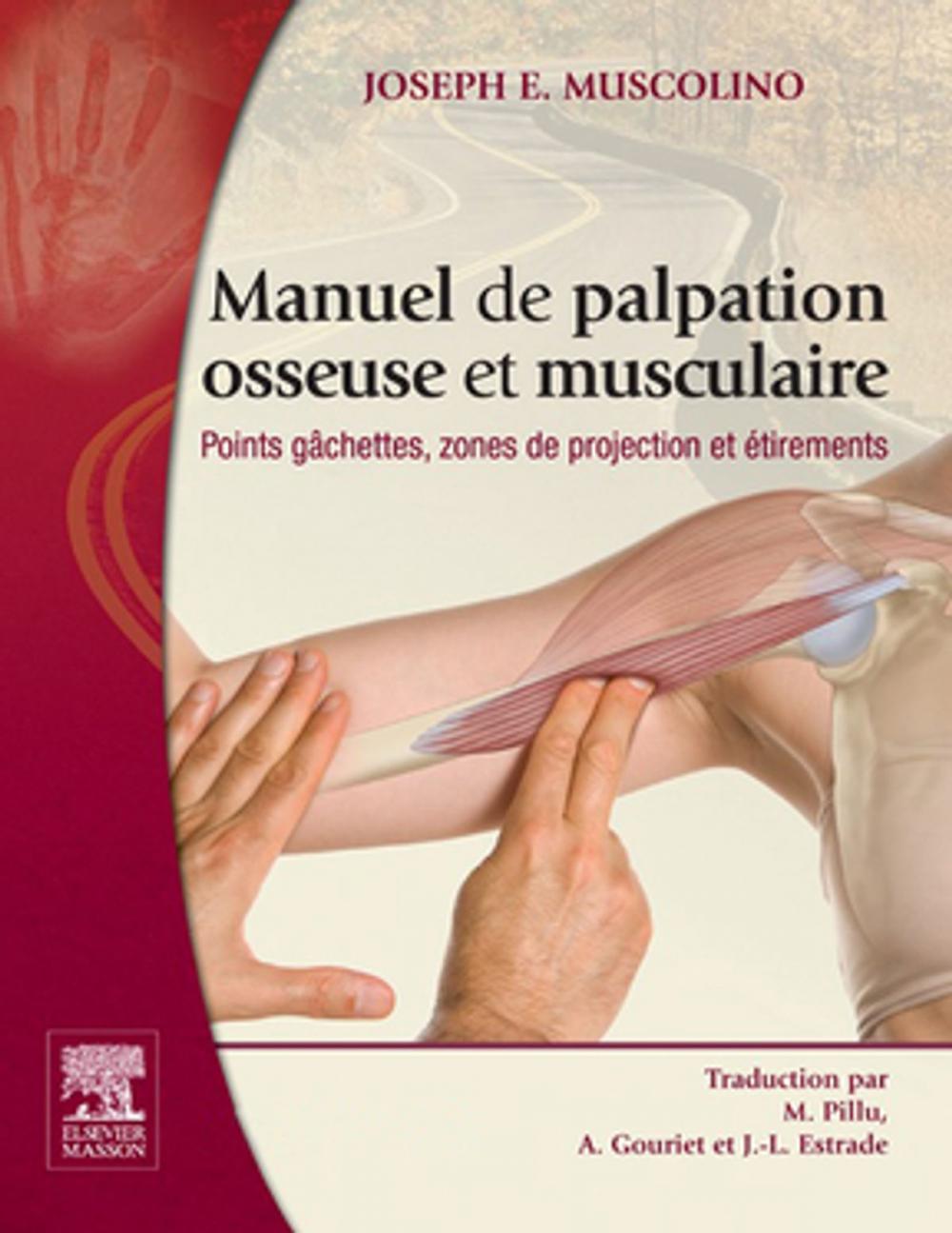 Big bigCover of Manuel de palpation osseuse et musculaire