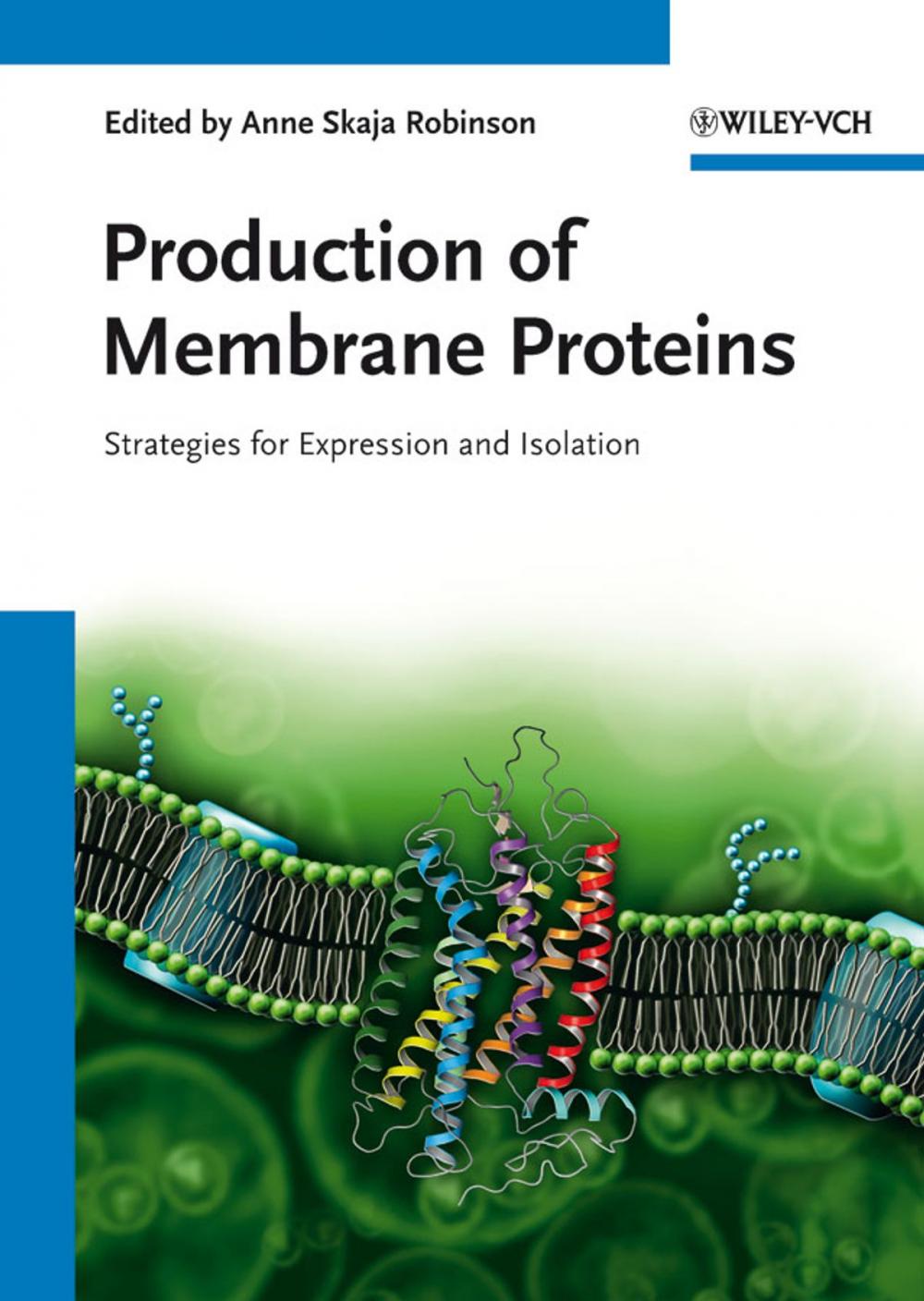 Big bigCover of Production of Membrane Proteins