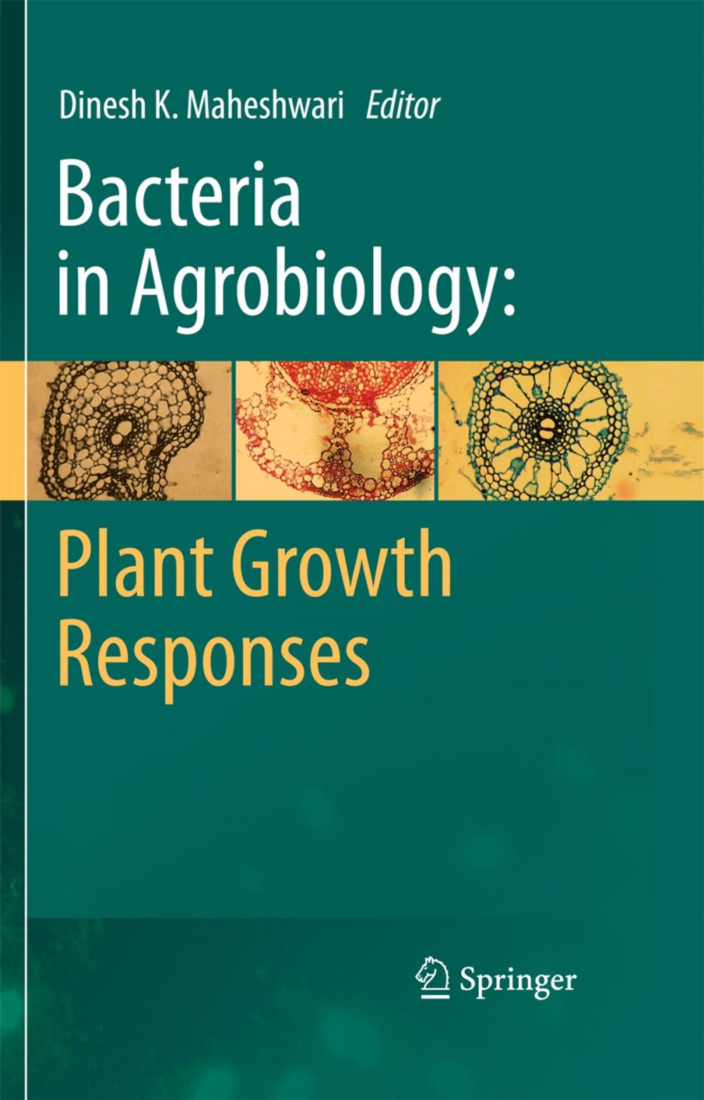 Big bigCover of Bacteria in Agrobiology: Plant Growth Responses