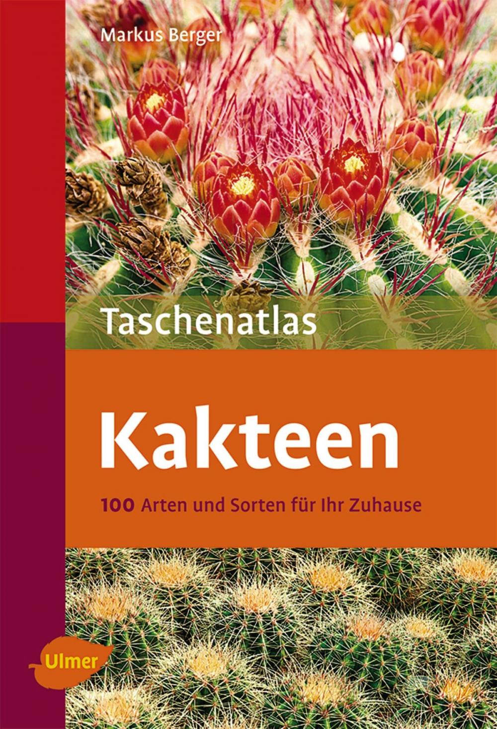 Big bigCover of Taschenatlas Kakteen