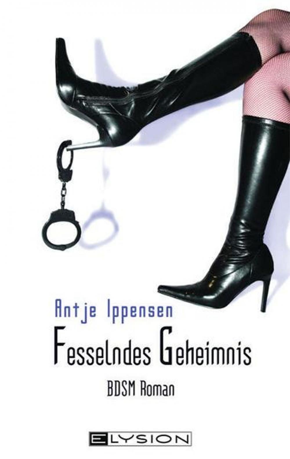 Big bigCover of Fesselndes Geheimnis