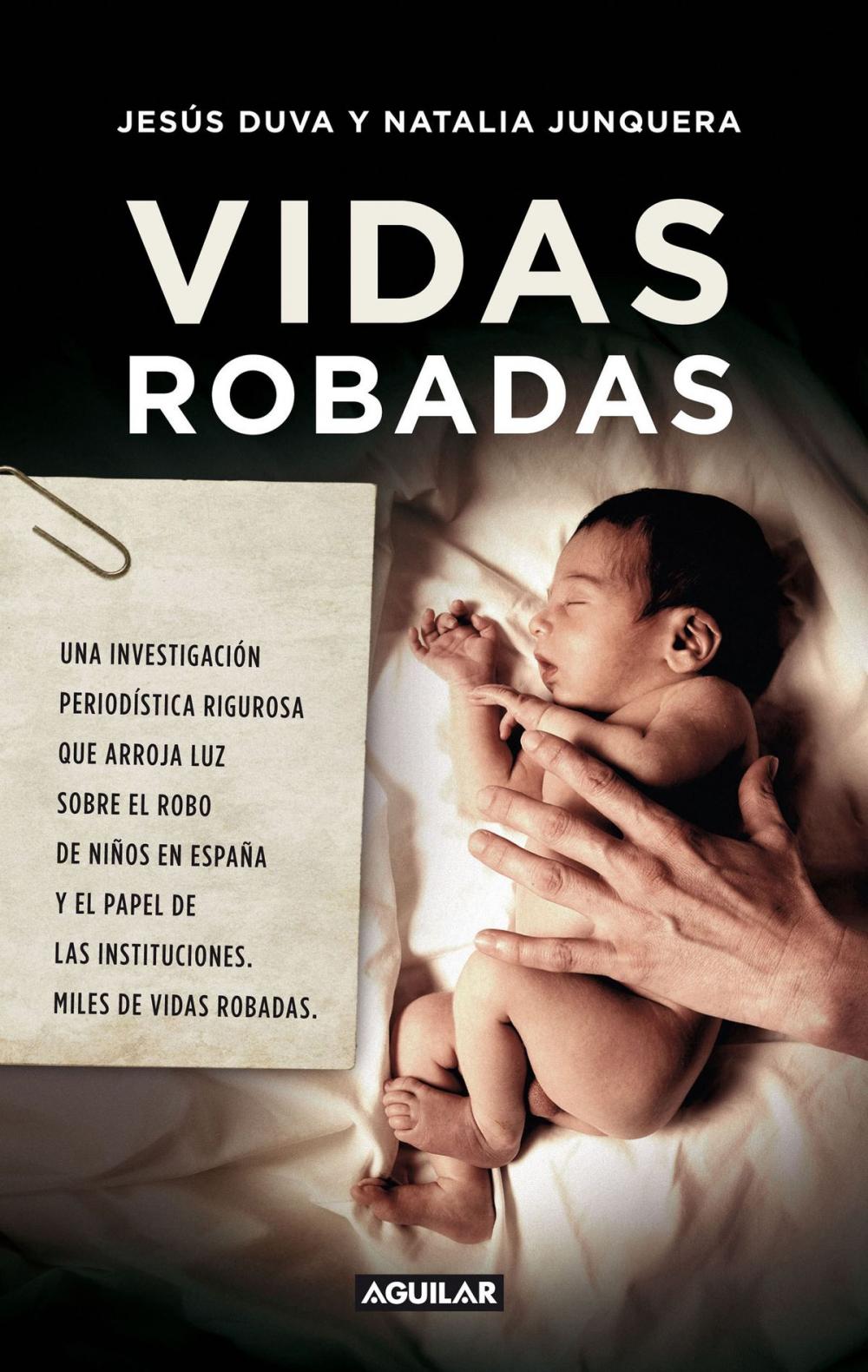 Big bigCover of Vidas robadas