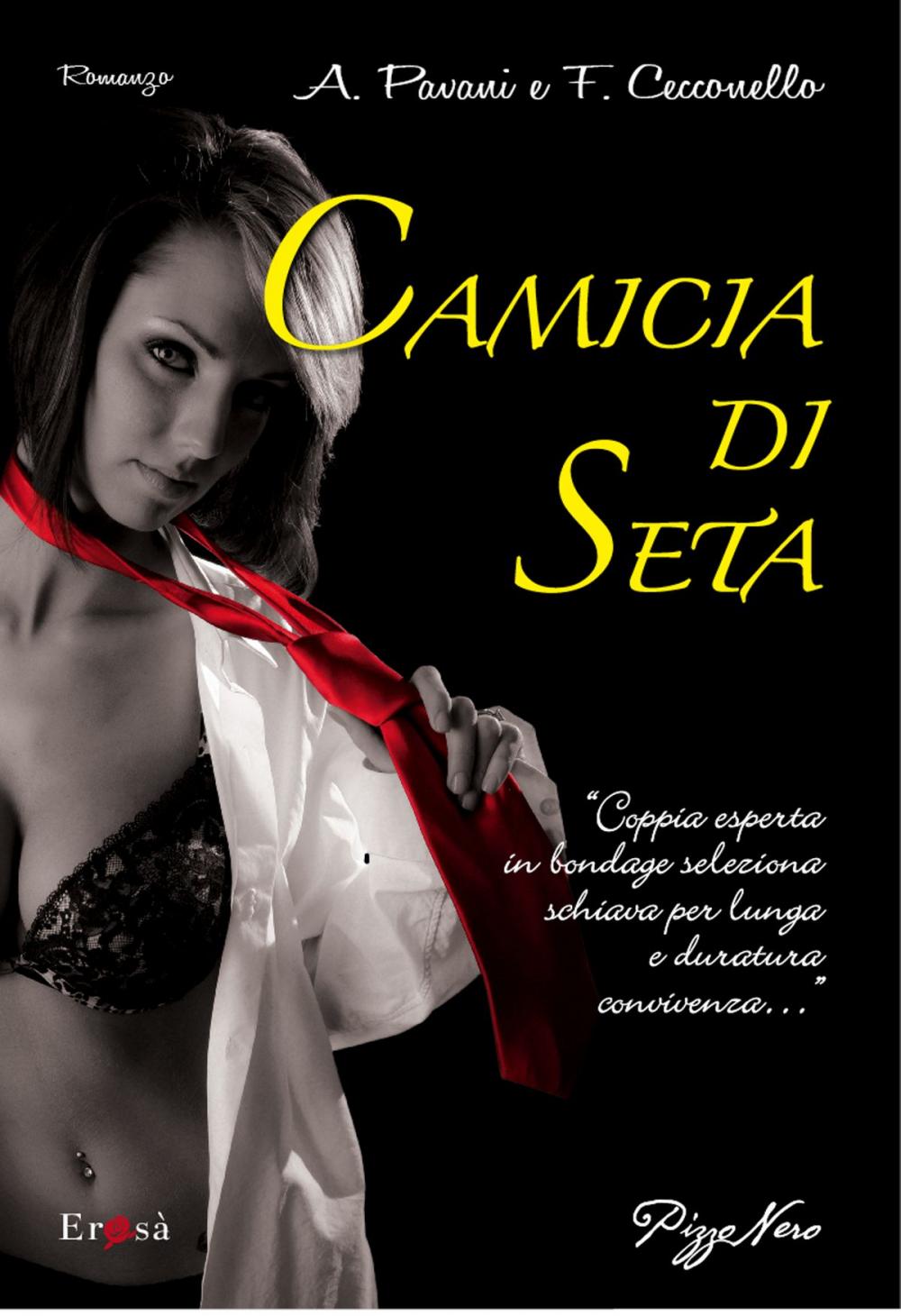 Big bigCover of Camicia di seta