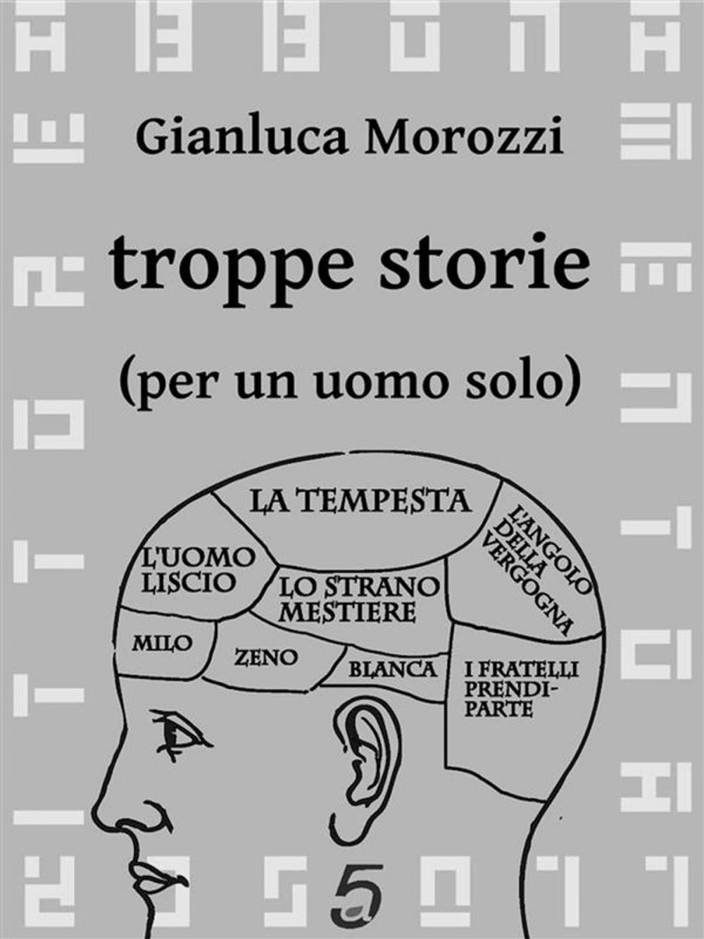 Big bigCover of Troppe storie (per un uomo solo)