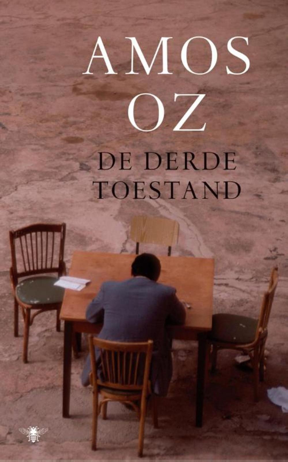 Big bigCover of De derde toestand