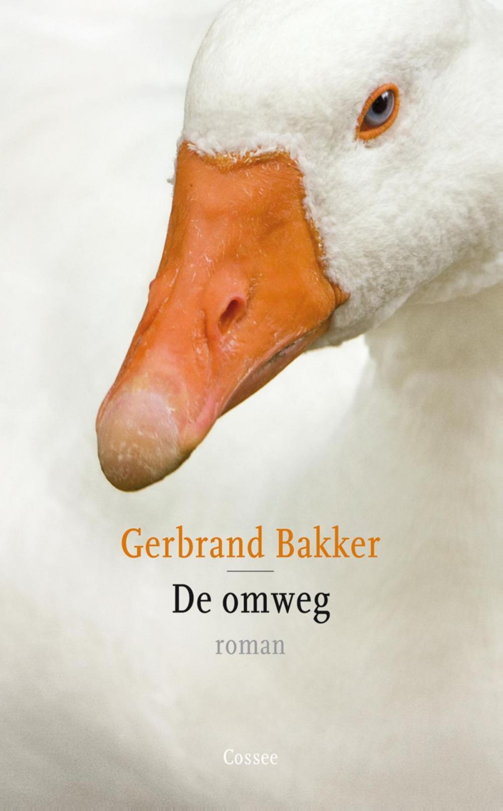 Big bigCover of De omweg