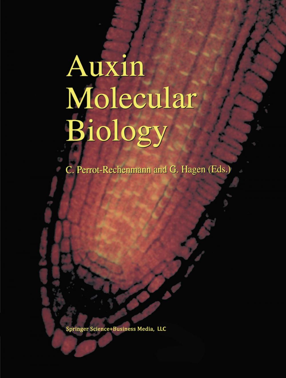 Big bigCover of Auxin Molecular Biology